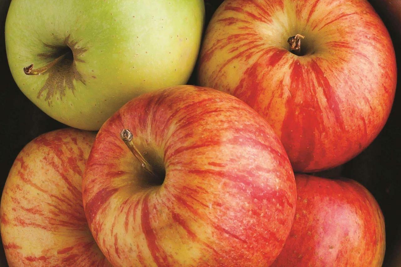 فندق لا كوينتا إن آند سويتس باي ويندام موبايل ساتسوما / سارالاند Satsuma المظهر الخارجي الصورة